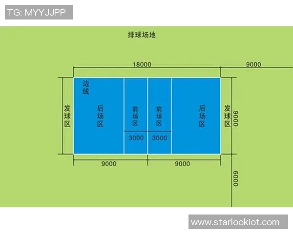 深圳排球队灵活性分析与表现评估的深度研究与探讨