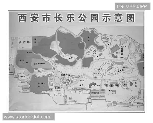深入分析西安乒乓球队的阵地战战术与技巧解析