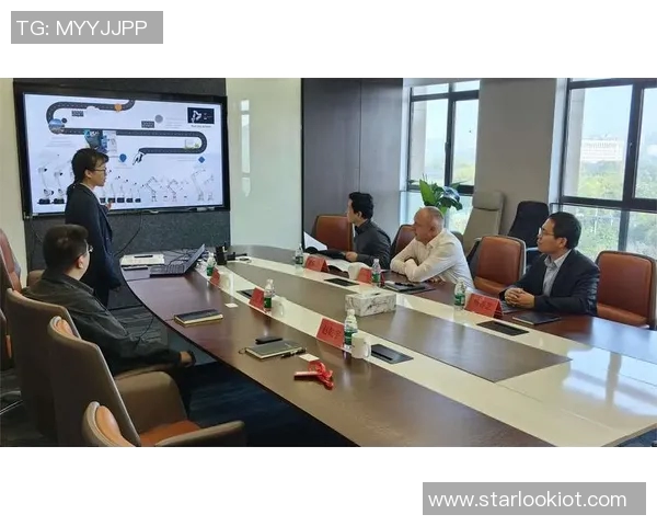 上海羽毛球队运营分析：成功经验与面临挑战的全面探讨