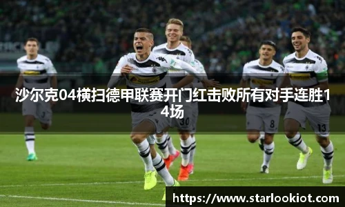 沙尔克04横扫德甲联赛开门红击败所有对手连胜14场